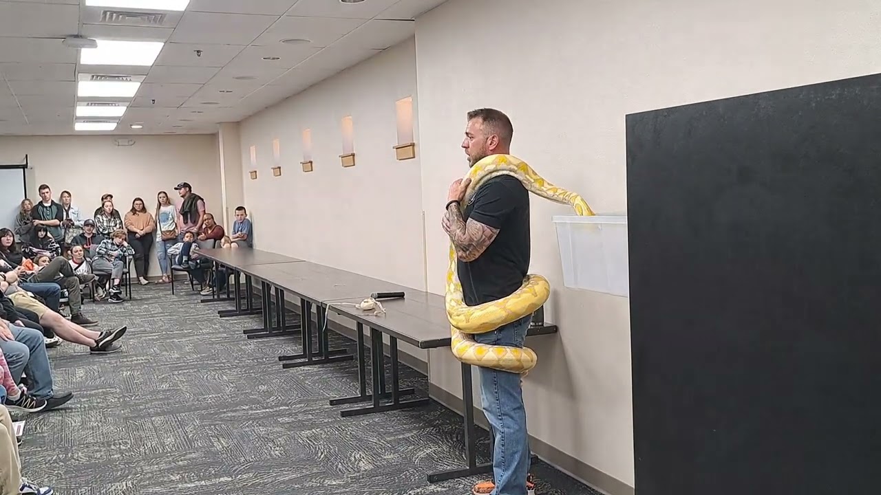 All American Reptile & Plant Expo '24: Wildfire Retics- Retic Python Education