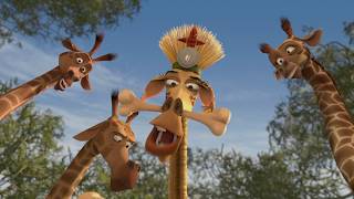 DreamWorks Madagascar | Dr Melman | Madagascar: Escape 2 Africa Filme