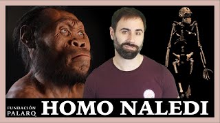 🔹 HOMO NALEDI | Las principales especies de homininos y etapas de la prehistoria