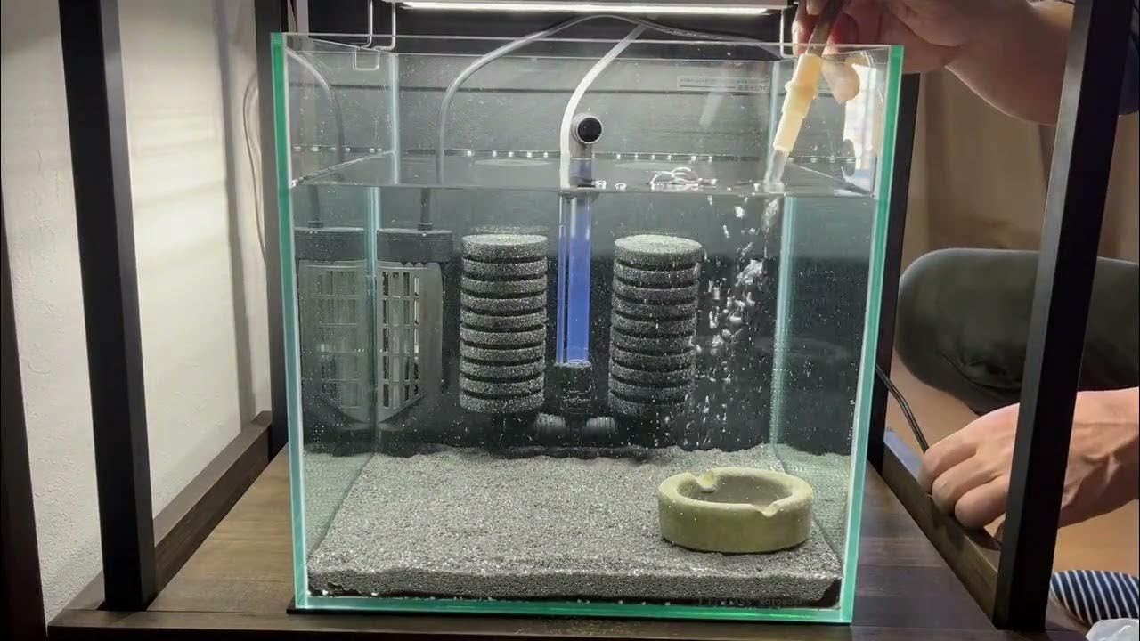 ナノグラベル水槽立ち上げ！ YouTube
