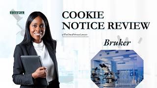 Bruker’s Cookie Notice: Practical Compliance Considerations