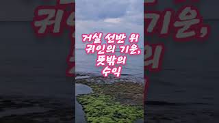 500원 동전 두면 재물운 넘칩니다#재물운​ #풍수지리​ #500원동전​ #집안풍수​ #돈이모이는집​ #풍수인테리어​ #기운전환​ #살림꿀팁​ #동전활용법​ #돈복부르는법​