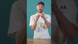 5.3 Basisvaardigheden - Schroeven