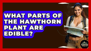 What Parts Of The Hawthorn Plant Are Edible? - Exploring Campgrounds