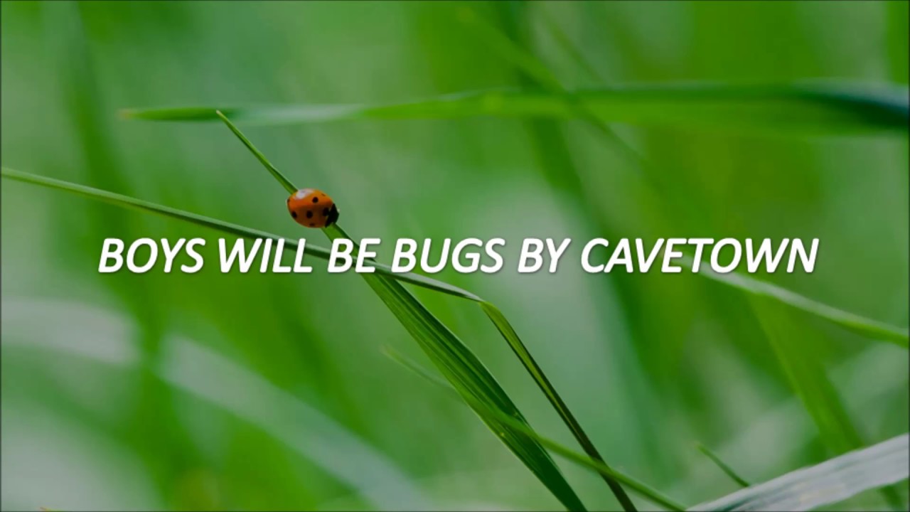 boys will be bugs lyrics