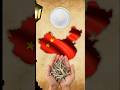 History of Ketchup || #shorts #history
