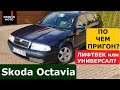 Пригнать Skoda Octavia [АВТО за 6200$]: доступная надежность из Германии