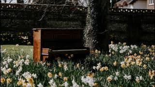 Spring Day Piano Ringtone mp3 Download | Instrumental Ringtones