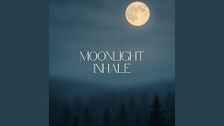 Featherlight Nights