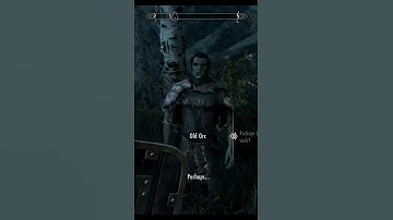 SKYRIM STRANGE ENCOUNTER...