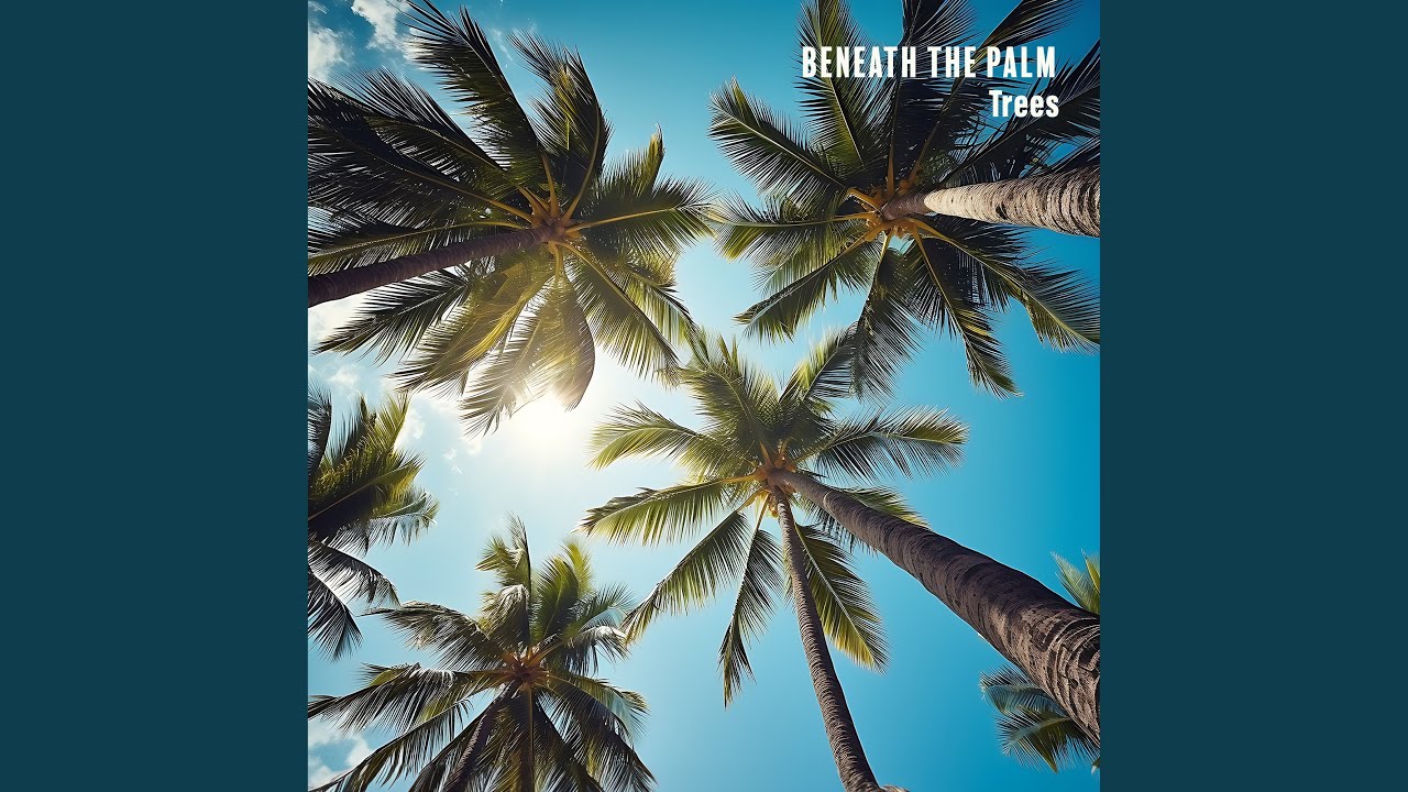 Watch Ambient Delight on YouTube Watch Ambient Delight on YouTube