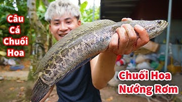 Cáo Ca - Dùng Mồi Giả Câu Cá Chuối Hoa Nướng Rơm Ăn Cực Ngon || Ẩm Thực Hậu Cáo