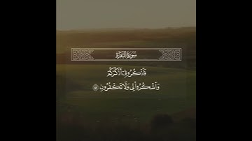 ﴿فَاذكُروني أَذكُركُم وَاشكُروا لي وَلا تَكفُرونِ﴾./القارئ عبدالله الموسى"حفظه الله "💚