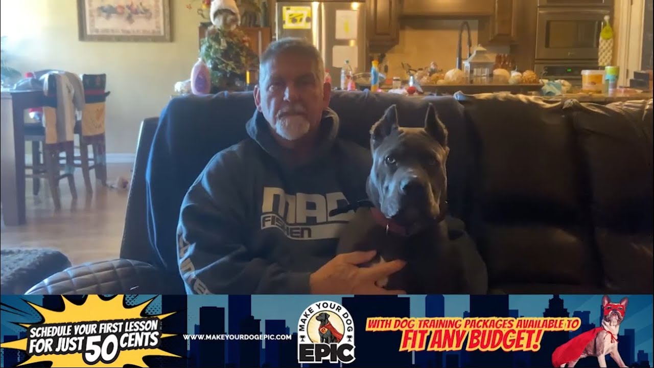 Ogden Utah Dog Training | Salt Lake City Dog Training | “Very Pleased With the Progress"