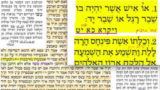 הדף היומי מסכת בכורות דף מה 45 Daf yomi Bechoros daf 45