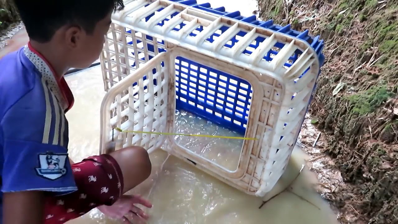 Amazing Brave Boy Make Crocodile Trap Using Big Plastice Basket And Baby Duck   Big Crocodile Trap