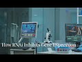 The Power of RNA Interference in Gene Regulation and Therapeutic Applications