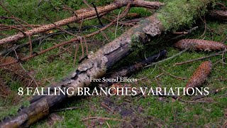8 Falling branches sound effects @ by VIRAL Element