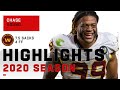 Chase Young Full Rookie Season Highlights | NFL 2020