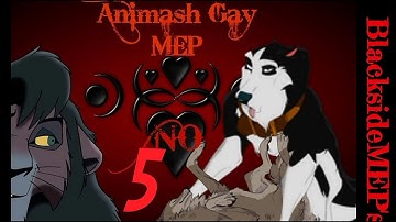 No - Gay Animash MEP - OPEN