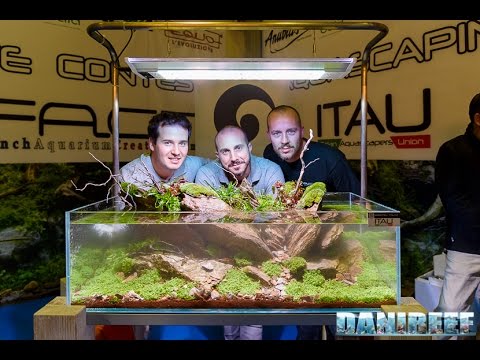 live aquascaping itau equo gaia a cura di roberto bielli enrico