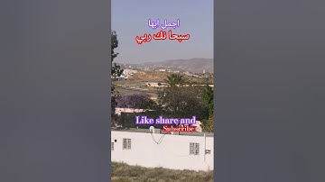 #!!! سورة الرحمن #!!! بصوت الحب للشيخ عبدالباسط عبدالصمد رحمه الله عليه #!!