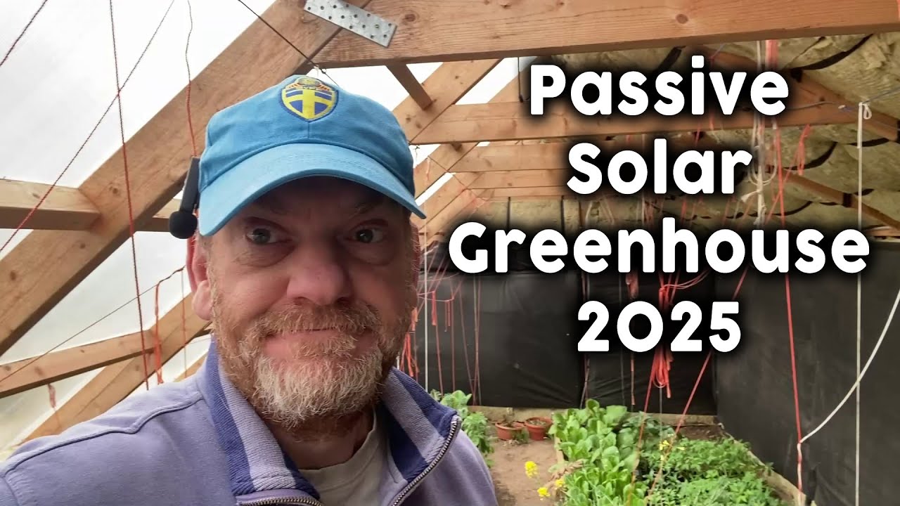 Пассивная солнечная теплица — 1 год выращивания продуктов питания.