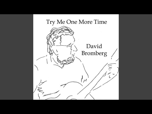 David Bromberg - Windin' Boy