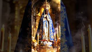 Ó Nossa Senhora Aparecida, Mãe de milagres, socorre-me agora! #Luzdivina