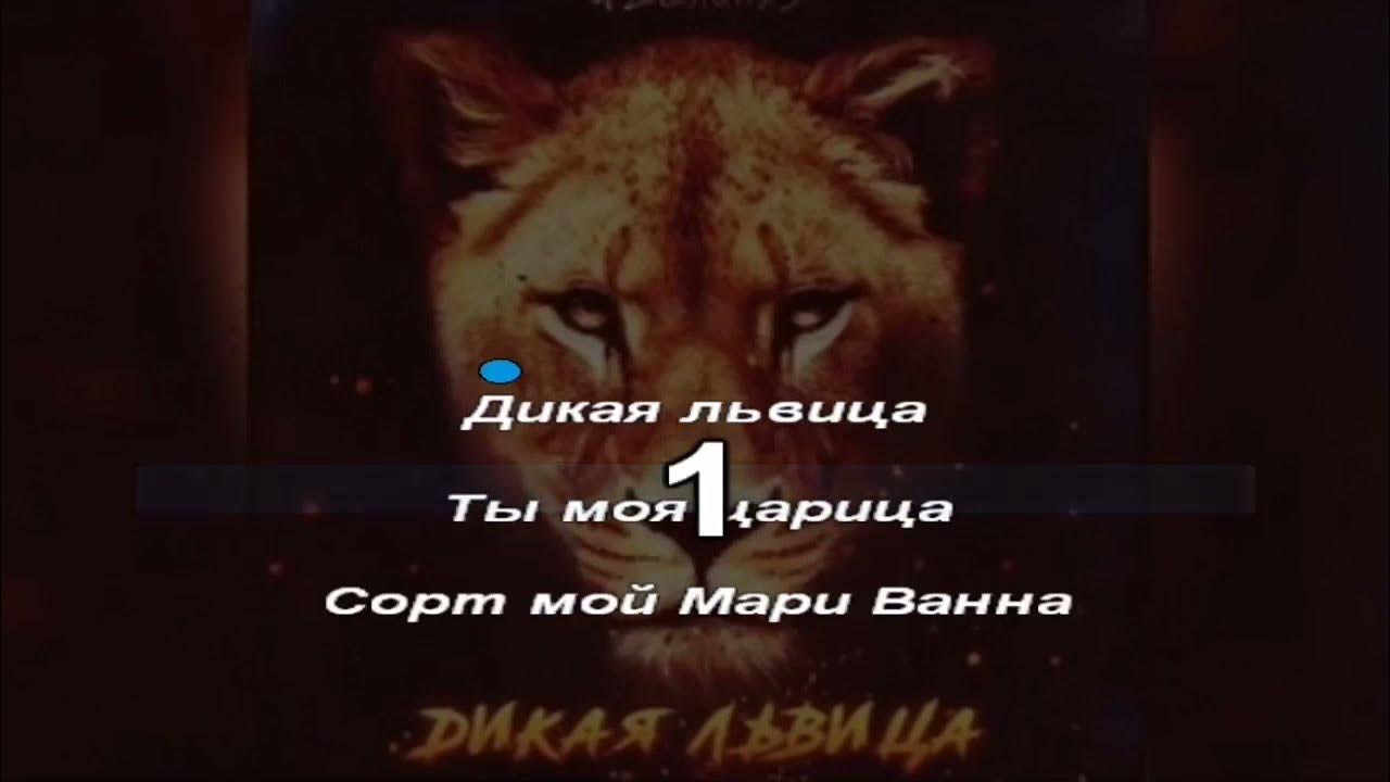 Ты моя львица песня текст. Дикая львица ты моя царица. Песнь дикая львица. Ты моя львица песня текст. Ты моя львица песня текст.