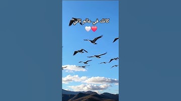 لَّقَدْ كَانَ لَكُمْ فِي رَسُولِ اللَّهِ أُسْوَةٌ حَسَنَةٌ سورة الأحزاب الشيخ محمد الطبلاوي #قرآن