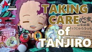 Raise Your Own Demon Slayer! Thoughts on the Kimetsu no Yaiba Tamas