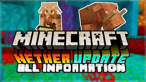 Minecraft 1.15 & 1.16 Nether Update - EVERYTHING You Need To Know About The Next Updates