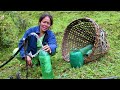 Family in the Jungle || Season - 2 || Video - 22 || Village Life of Rural Nepal  ||