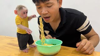 Sweet moments when monkey Lily helps dad do housework