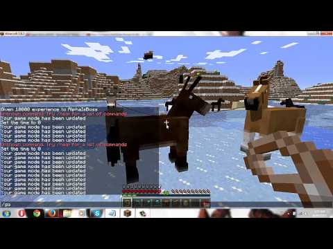 How to get a Mule in Minecraft 1.6.2 And More - YouTube