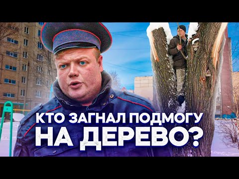 Бейне: CDA немен тең?