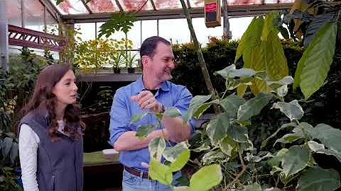 Successful Gardener - Jeff Gillman UNCC Gardens