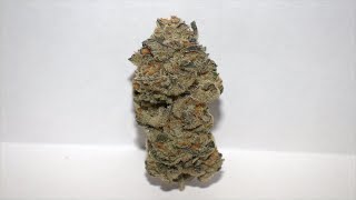 Strain Review - "Bliss Cut" Dosidos by Archive Seed Bank