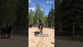 Sori Kiroilu Mut Joo Ratsastukseen Kuuluu Aina Epäonnistumiset, Mutta Niistä Oppii