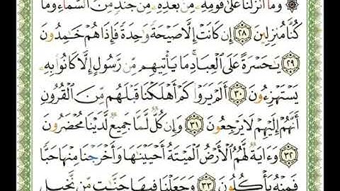 سورة يس بصوت القارئ شيرزاد عبد الرحمن طاهر