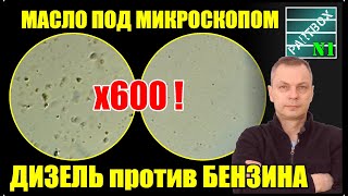 Масло под микроскопом (ШОК). Моя машинка трения. Пластилин с отвердителем.