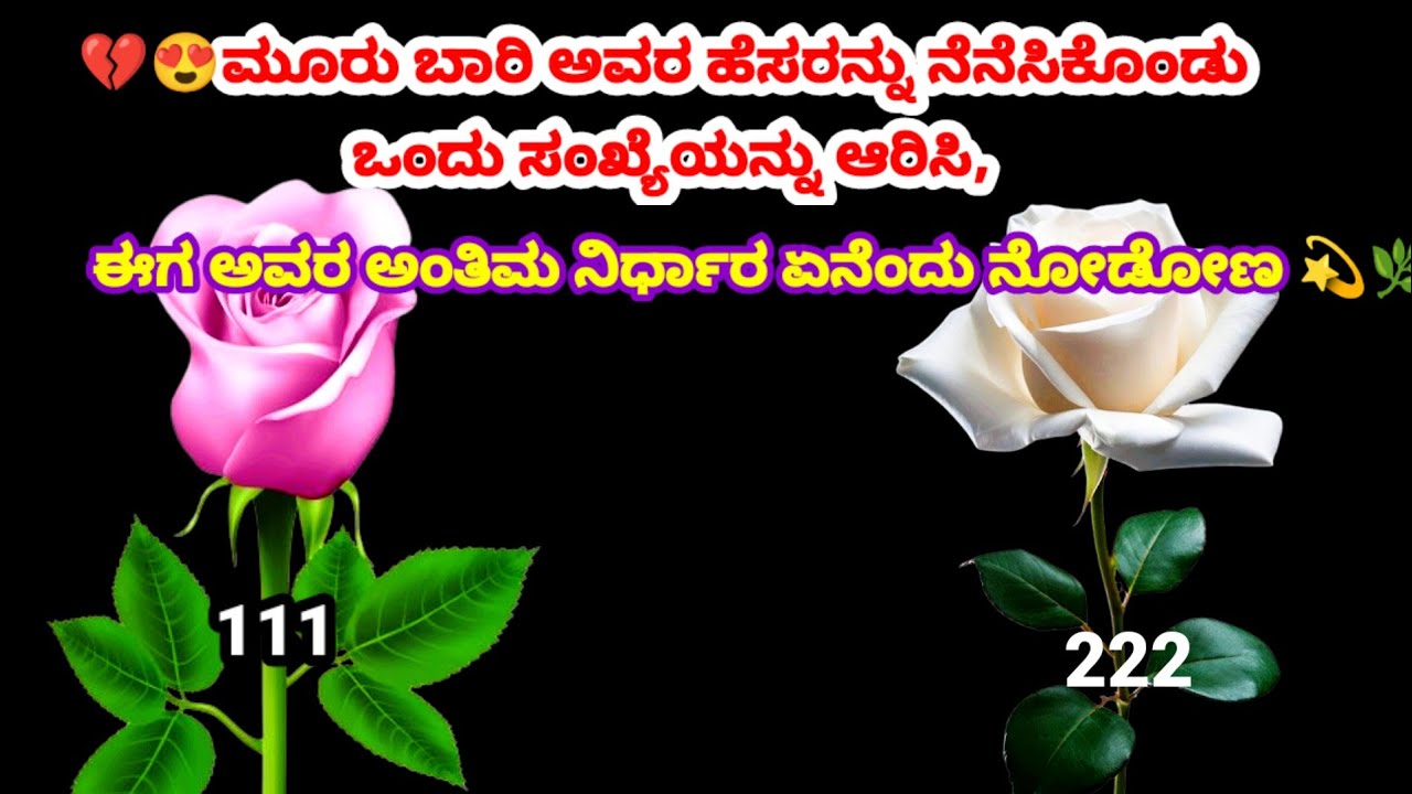 💔😍ಮೂರು ಬಾರಿ ಅವರ ಹೆಸರನ್ನು ನೆನೆಸಿಕೊಂಡು ಒಂದು ಸಂಖ್ಯೆಯನ್ನು ಆರಿಸಿ,ಅವನ ಅಂತಿಮ ನಿರ್ಧಾರ ಏನೆಂದು ನೋಡೋಣ 💫🌿