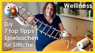 Diy: Wie bastelt man Schaukeln, Leitern, Spielsachen und mehr, für Wellensittich und Co? 7 top Tipps