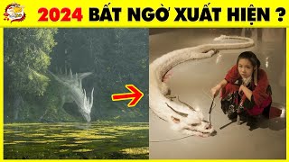 10+1 Bằng Chứng 99.9% Rồng Có Thật Và BÍ ẨN Về Năm Rồng Bạn Nên Đoán Ngay | Nhanh Trí