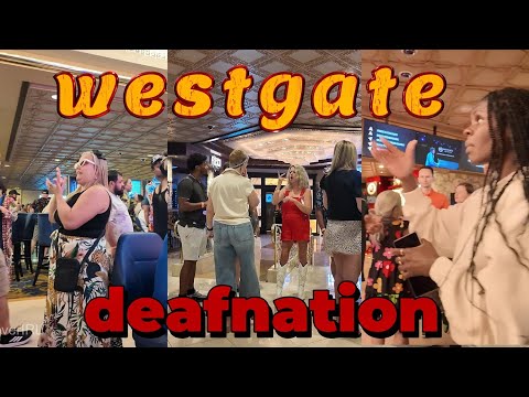 Vegas Matt With Crazy Comeback #vegasmatt #money #mindset