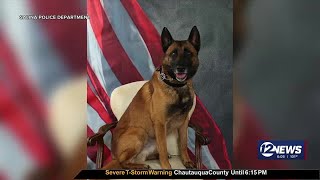 Salina K-9 Dies In Accidental Fall