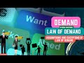 What is Demand and Law of Demand in Urdu and Hindi