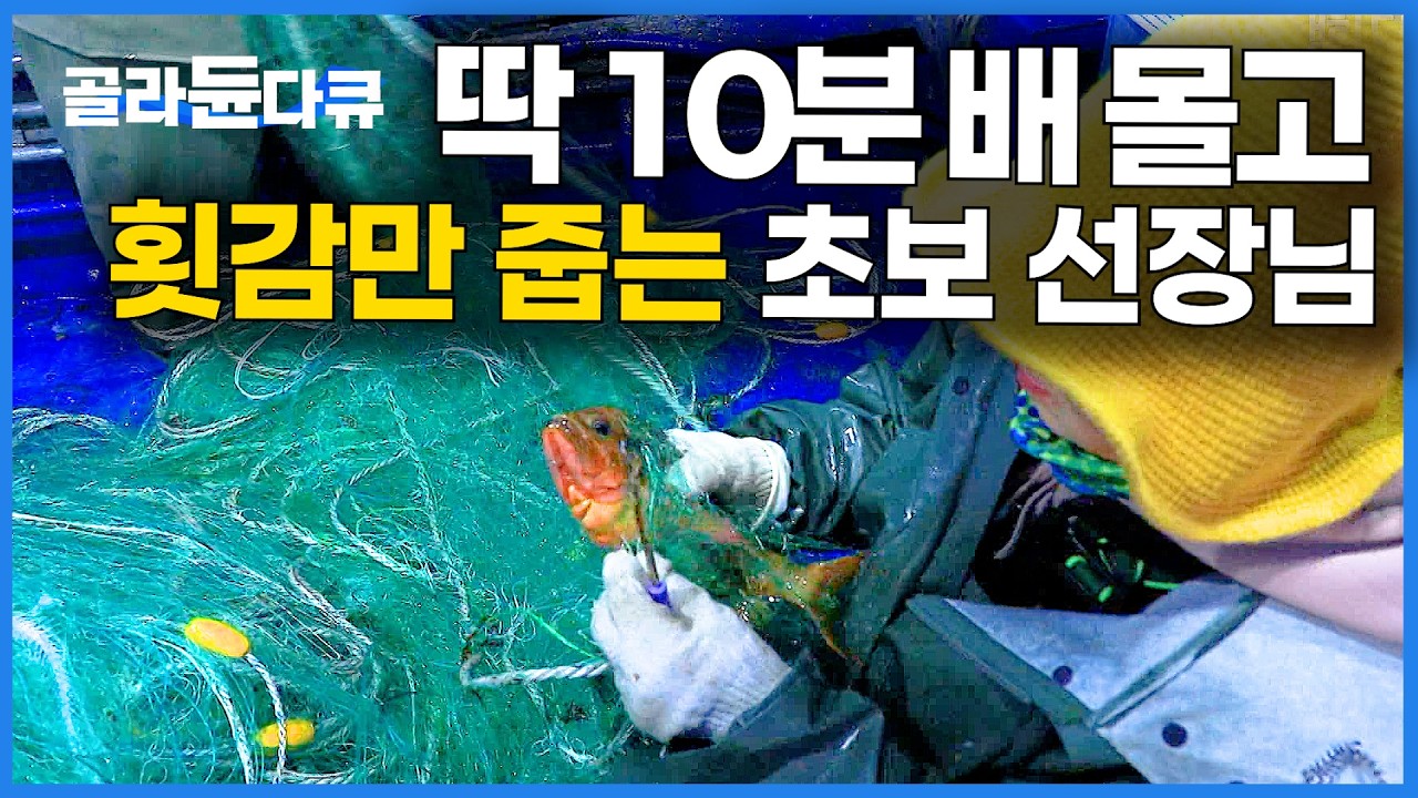 기름값도 안 드는 거리. 10분 거리에서 그물 올리고 매일 밥값 버는 2년 차 선장님의 하루｜강릉 귀어｜한국기행｜#골라듄다큐
