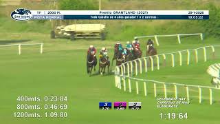 Vidéo de la course PMU PREMIO GRANTLAND 2021